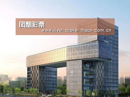 案例展示四(图1) 案例展示四(图1)