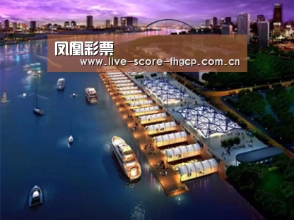 案例展示八